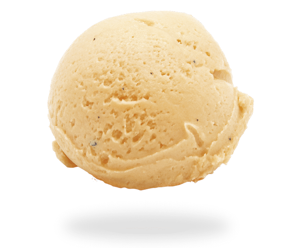 GELATO ARACHIDE SALATA VEGANA<br> OTTOBRE 2025