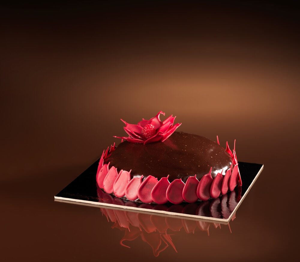 SACHER <br> AL LAMPONE VEGANA