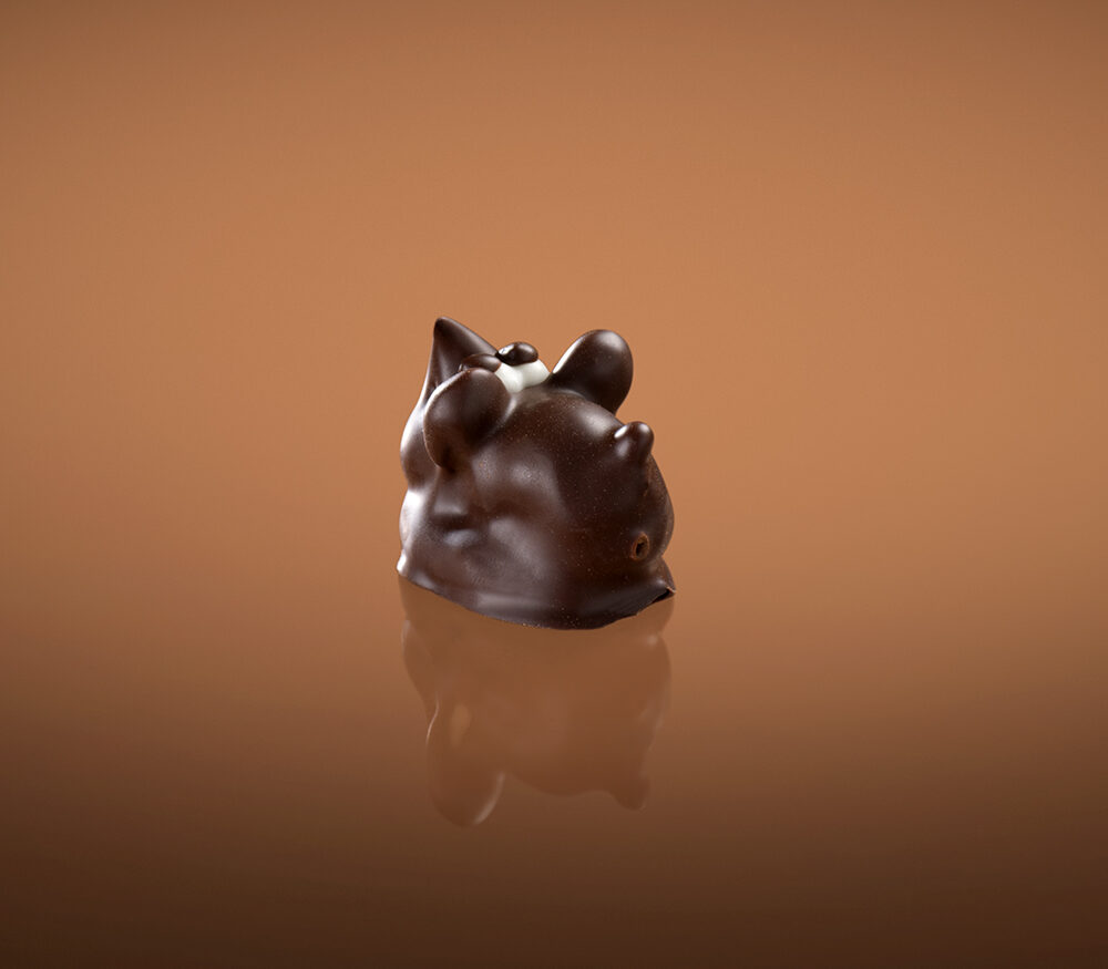 TOPOLINO <br> FONDENTE