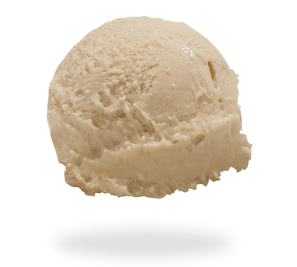 GELATO NOCE<br> NOVEMBRE 2025