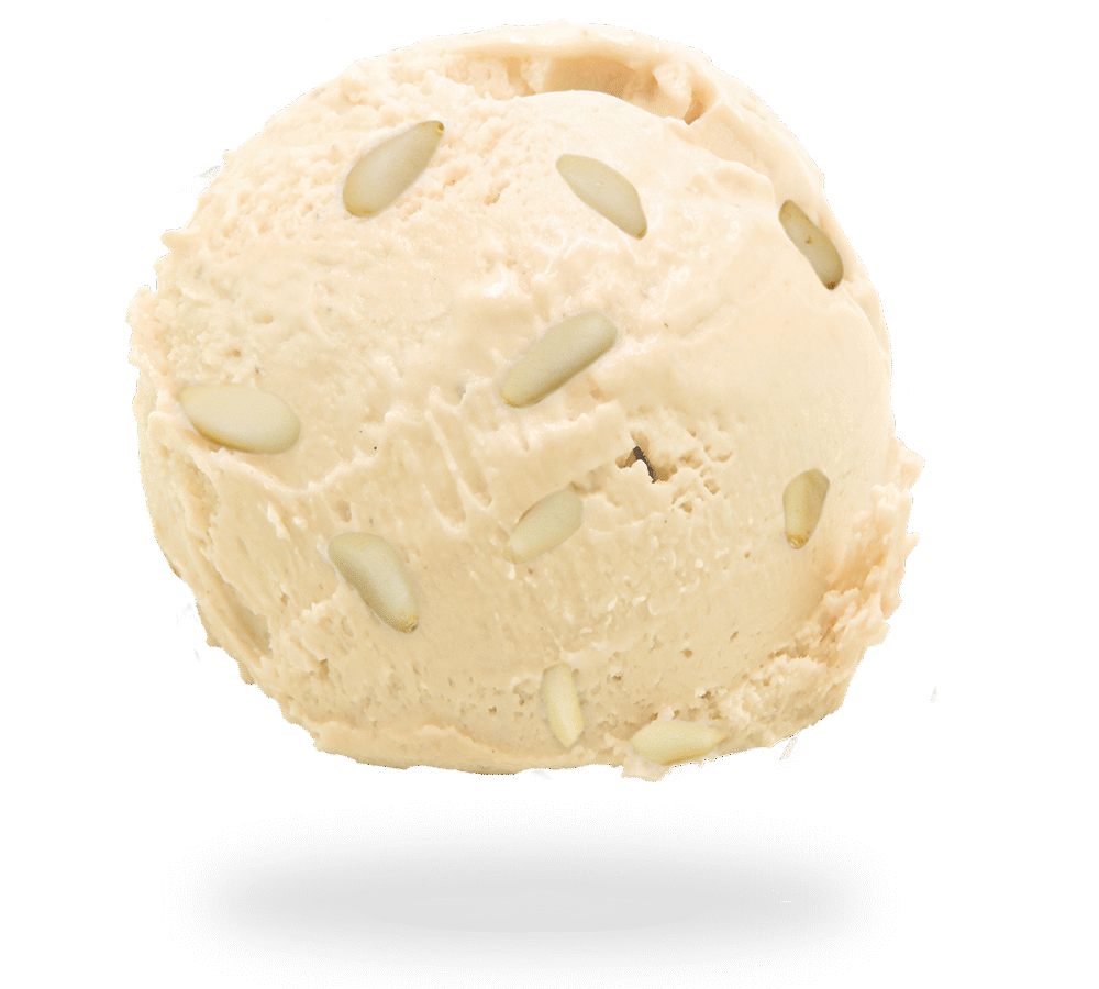 GELATO PINOLO <br> NOVEMBRE 2025