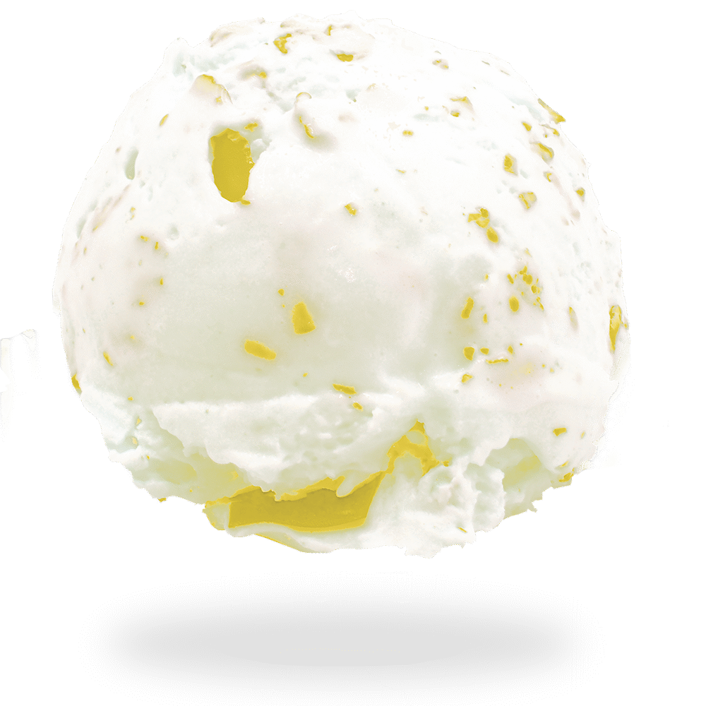 GELATO COCCO VARIEGATO ANANAS<br> AGOSTO 2025