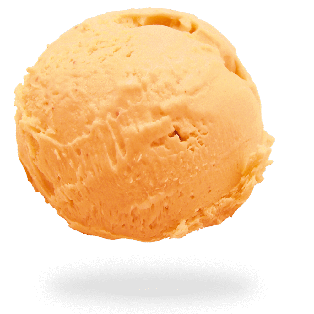 GELATO CREMA ARANCIA<br> DICEMBRE 2025