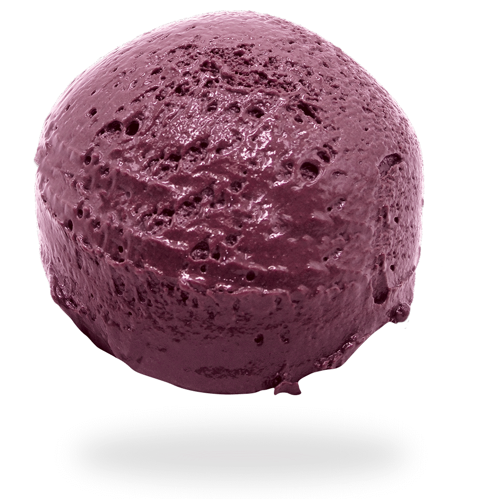 GELATO MORA, MIRTILLO, LAMPONE E FRAGOLINE<br> AGOSTO 2025