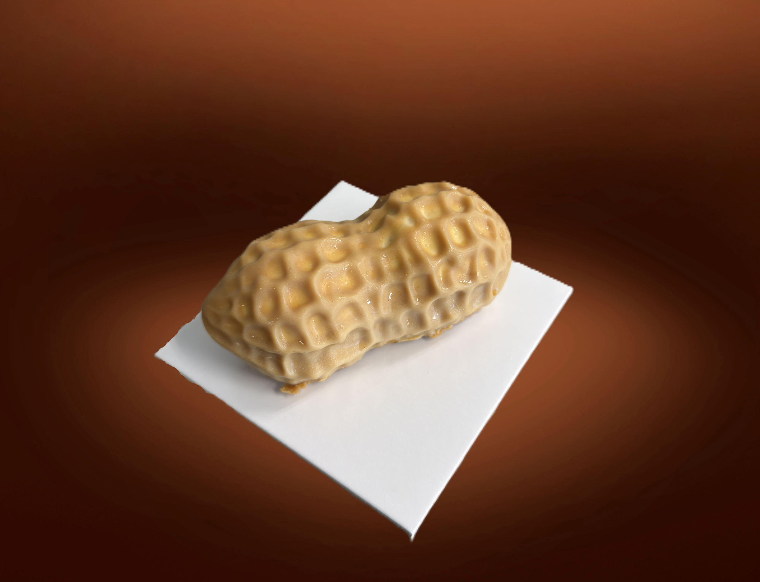 FRUTTA REALISTICA <br>ARACHIDE