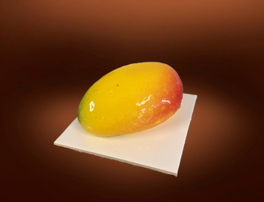 FRUTTA REALISTICA , MANGO