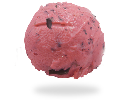 GELATO FRUTTI DI BOSCO E CIOCCOLATO<br> AGOSTO 2026